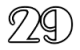 No29